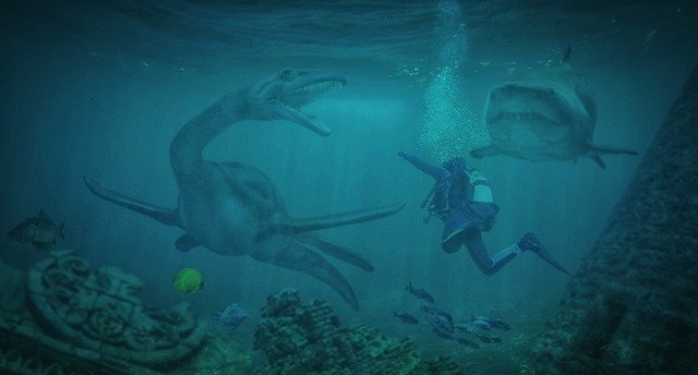 تنزيل مجاني لـ Diving Sea Water Underwater - صورة مجانية أو صورة يتم تحريرها باستخدام محرر الصور عبر الإنترنت GIMP