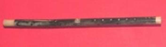 Free download Dizi free photo or picture to be edited with GIMP online image editor