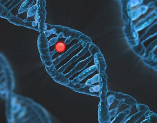 تنزيل مجاني لصورة مجانية لعلوم الجينات طفرة وراثية الحمض النووي ليتم تحريرها باستخدام محرر الصور المجاني عبر الإنترنت من GIMP