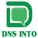 DNS Into  screen for extension Chrome web store in OffiDocs Chromium