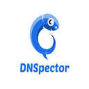 DNSpector  screen for extension Chrome web store in OffiDocs Chromium