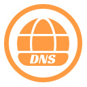 DNS Record Checker  screen for extension Chrome web store in OffiDocs Chromium