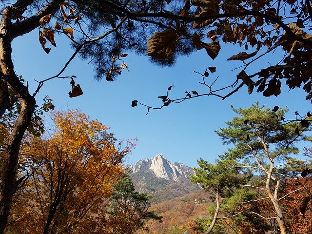הורדה חינם של Dobong Autumn Is Also The Backyard - תמונה או תמונה בחינם לעריכה עם עורך התמונות המקוון GIMP