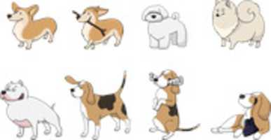 Free download dog123-1417208_960_720 free photo or picture to be edited with GIMP online image editor