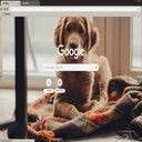 Dog always better  screen for extension Chrome web store in OffiDocs Chromium