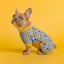 Dog and banana shirt  screen for extension Chrome web store in OffiDocs Chromium