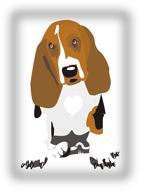 免费下载 狗 小猎犬 宠物 - 免费矢量图形Pixabay 免费插图使用 GIMP 免费在线图像编辑器进行编辑