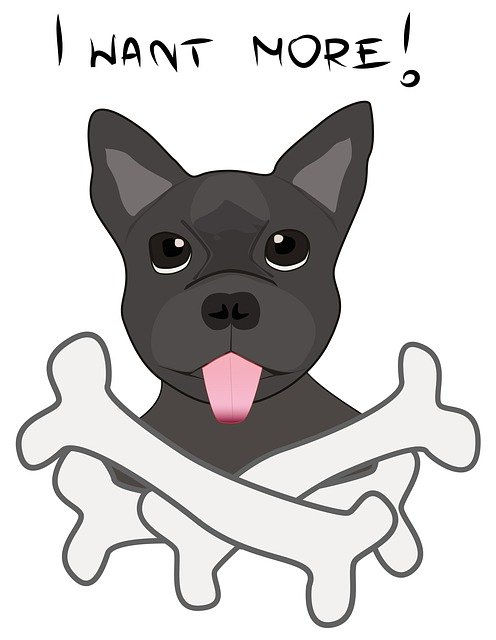 Free download Dog Bone Favorite -  free illustration to be edited with GIMP free online image editor