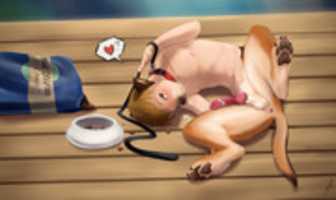 Free download dogboy free photo or picture to be edited with GIMP online image editor