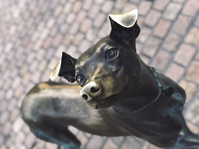 Безкоштовно завантажте Dog Bronze Statue - безкоштовну фотографію чи зображення для редагування за допомогою онлайн-редактора зображень GIMP
