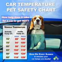 Free download dog_cars free photo or picture to be edited with GIMP online image editor