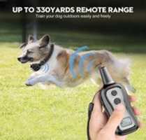 Free download DOG COLLAR WITH USER-FRIENDLY DESIGN free photo or picture to be edited with GIMP online image editor