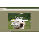 dog enjoying  screen for extension Chrome web store in OffiDocs Chromium
