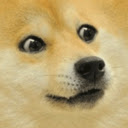 DOGE price  screen for extension Chrome web store in OffiDocs Chromium