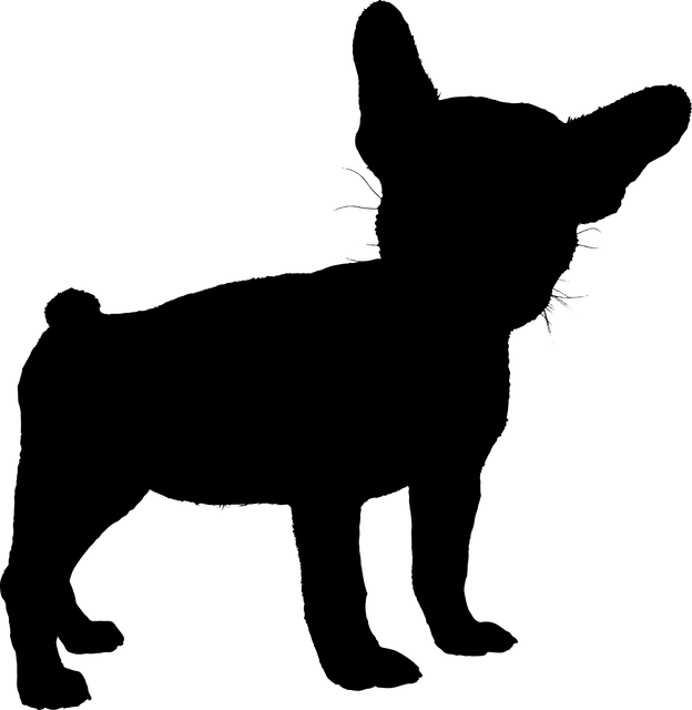 Free download Dog French Bulldog - Free vector graphic on Pixabay free illustration to be edited with GIMP free online image editor