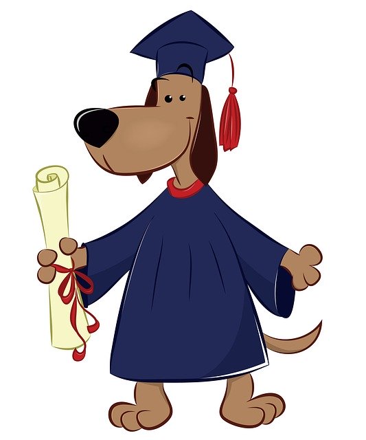Free download Dog Graduate Animals -  free illustration to be edited with GIMP free online image editor