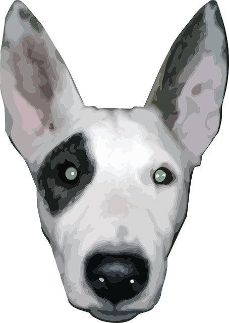 Free download Dog Hound Pet - Free vector graphic on Pixabay free illustration to be edited with GIMP free online image editor