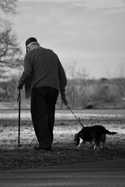 Free download Dog Old Man Walk -  free photo or picture to be edited with GIMP online image editor