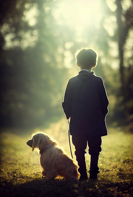 Free download dog pet park animal woman free picture to be edited with GIMP free online image editor