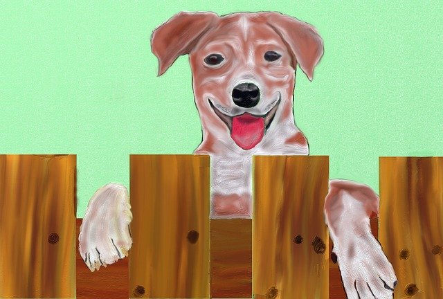 বিনামূল্যে ডাউনলোড করুন Dog Pet Young - বিনামূল্যে ছবি বা ছবি GIMP অনলাইন ইমেজ এডিটর দিয়ে সম্পাদনা করতে হবে