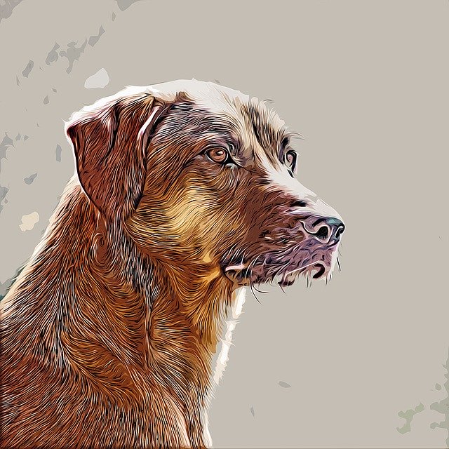 Free download Dog Portrait Drawing -  free illustration to be edited with GIMP free online image editor