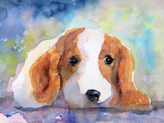 Free download Dog Portrait Watercolor -  free illustration to be edited with GIMP free online image editor