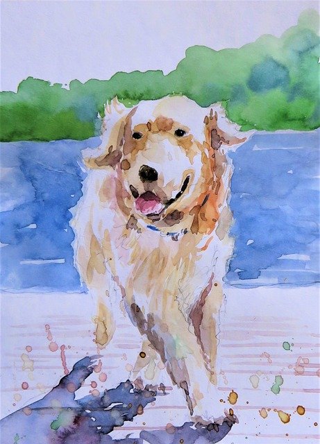 Free download Dog Running Watercolor Painting -  free illustration to be edited with GIMP free online image editor