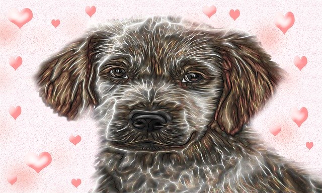 Free download Dog View Eyes -  free illustration to be edited with GIMP free online image editor