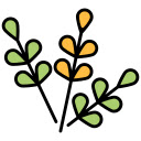 Dogwood Blossom  screen for extension Chrome web store in OffiDocs Chromium