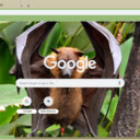 Doi  screen for extension Chrome web store in OffiDocs Chromium