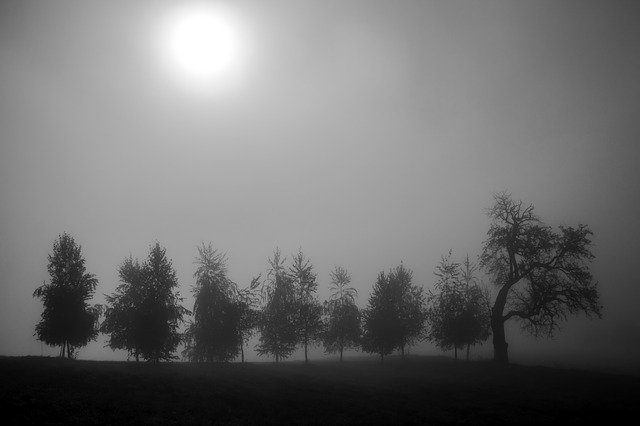 Ücretsiz indir Dolenjska Slovenya Slovenija - GIMP çevrimiçi resim düzenleyici ile düzenlenecek ücretsiz fotoğraf veya resim