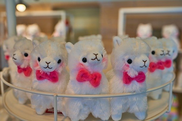 Free download Doll Alpaca Republic Of Korea -  free photo or picture to be edited with GIMP online image editor