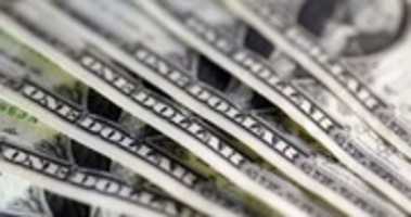 Free download dollars free photo or picture to be edited with GIMP online image editor