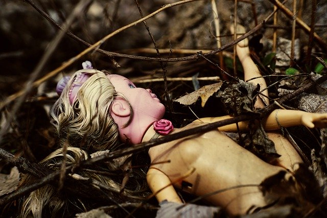 Free download Doll Woods Dark -  free photo or picture to be edited with GIMP online image editor