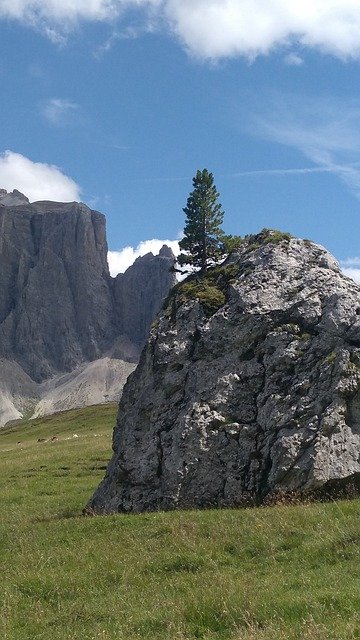 Free download Dolomites Tree On The Rock Pasture -  free free photo or picture to be edited with GIMP online image editor