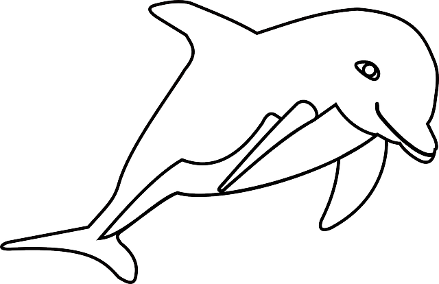 Free download Dolphin Ocean - Free vector graphic on Pixabay free illustration to be edited with GIMP free online image editor
