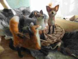 Free download dome_DSCF01491_ free photo or picture to be edited with GIMP online image editor