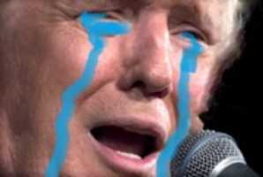 Free download donald_trump21 free photo or picture to be edited with GIMP online image editor