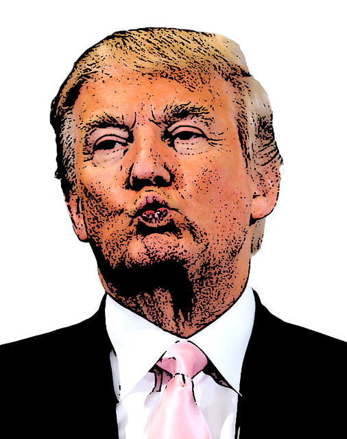 Free download Donald Trump Cartoon -  free illustration to be edited with GIMP free online image editor