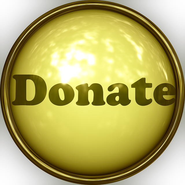 Free download Donation Button Icon -  free illustration to be edited with GIMP free online image editor