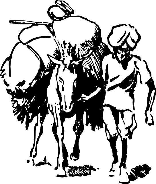 Download gratuito Donkey Load Farmer - Grafica vettoriale gratuita su Pixabay illustrazione gratuita per essere modificata con GIMP editor di immagini online gratuito