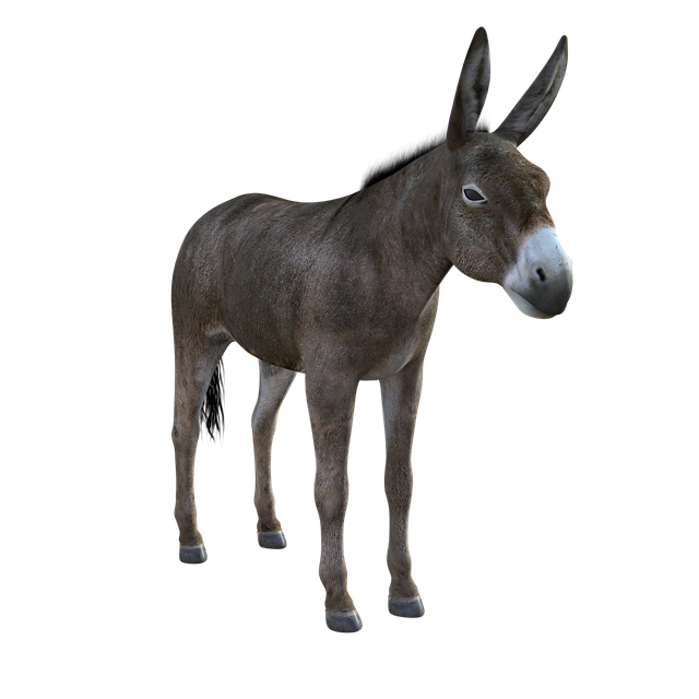 Free download Donkey Mule Animal free illustration to be edited with GIMP online image editor
