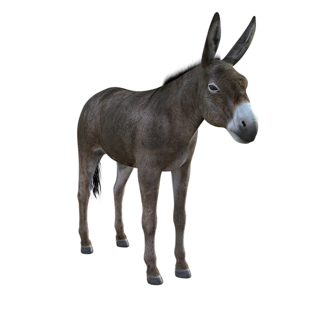 Unduh gratis ilustrasi Donkey Mule Animal gratis untuk diedit dengan editor gambar online GIMP