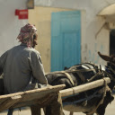 Donkey pulling a cart  screen for extension Chrome web store in OffiDocs Chromium