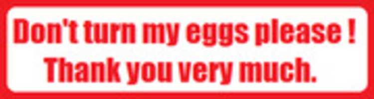 Free download DONT TURN EGGS PLEASE free photo or picture to be edited with GIMP online image editor