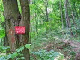 Free download dotqarkzcfks free photo or picture to be edited with GIMP online image editor