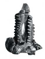 Free download Double bottle fragment free photo or picture to be edited with GIMP online image editor