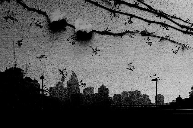 Téléchargement gratuit de Double Exposure Sydney Ivy Black - photo ou image gratuite à éditer avec l'éditeur d'images en ligne GIMP