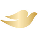 Dove Real Beauty Generation  screen for extension Chrome web store in OffiDocs Chromium