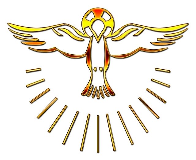 Free download Dove Symbol Holy -  free illustration to be edited with GIMP free online image editor